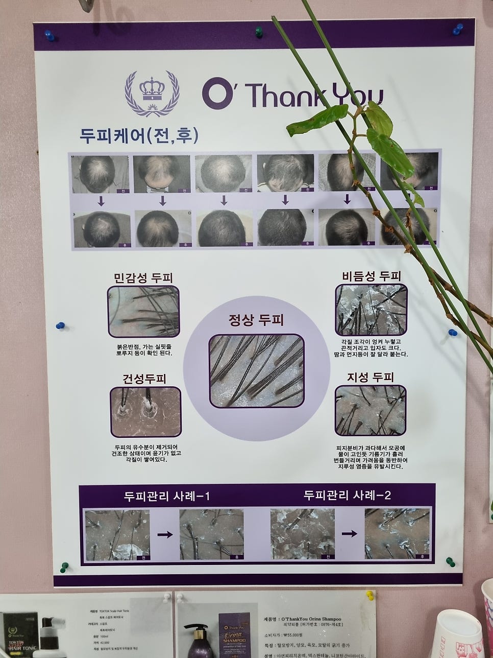 (오땡큐)천연 머리 염색 이미지