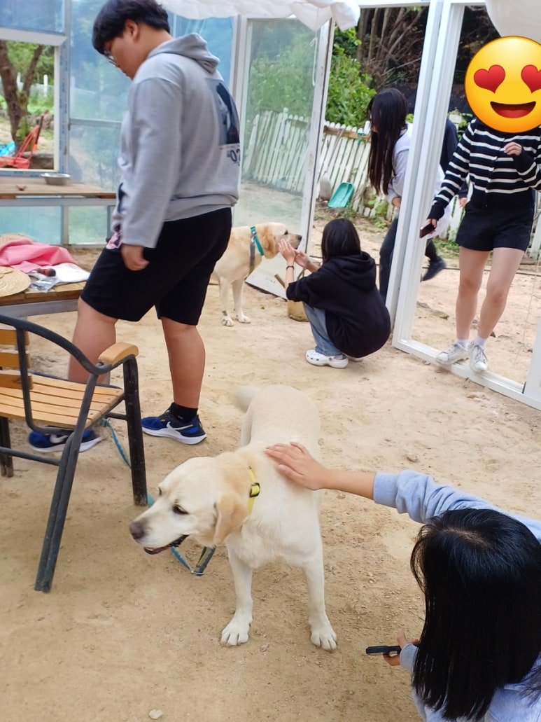 청학소풍 이미지