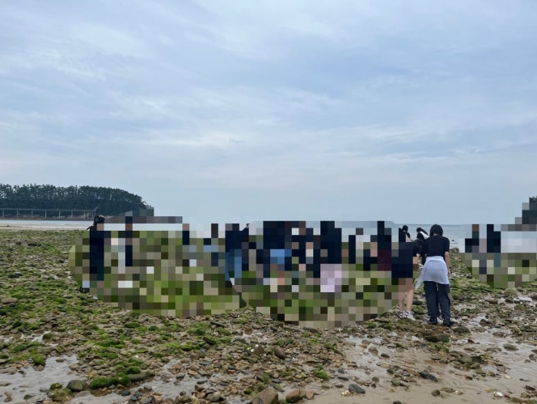 생탐 이미지