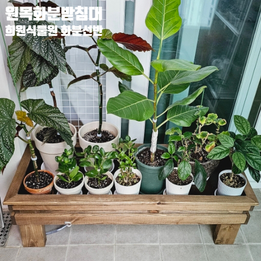 희원식물원 이미지