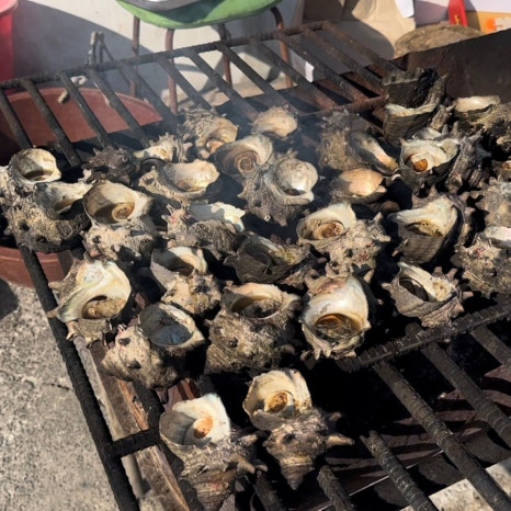 BBQ 제주우도점 사진 8