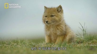 경주옥 이미지