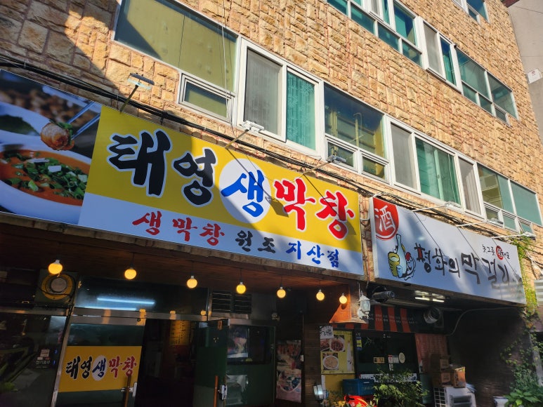 태영생막창지산점 이미지