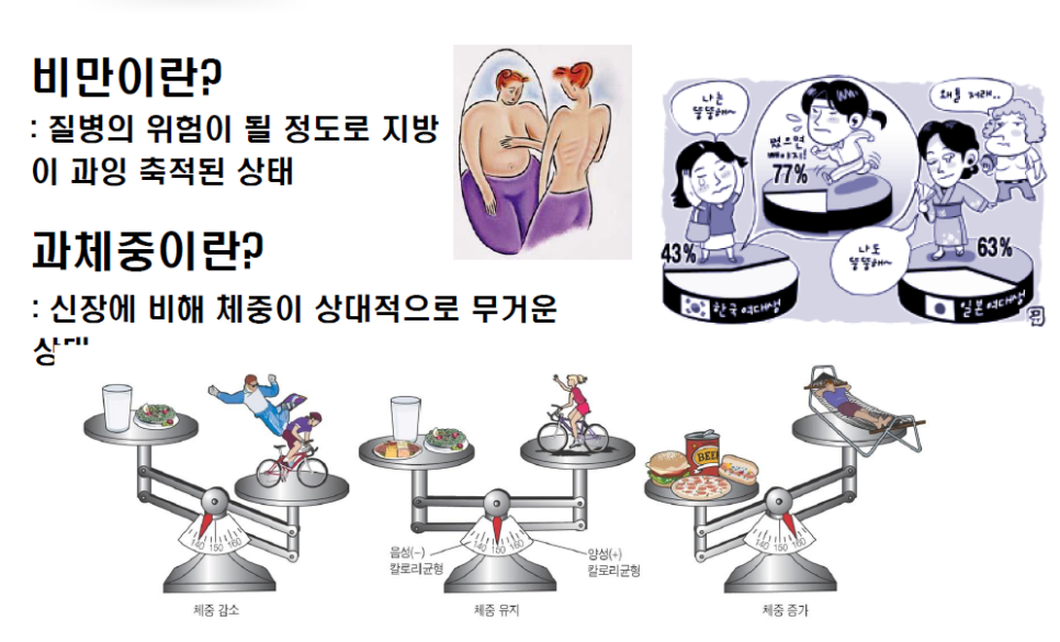 토니바디W 이미지