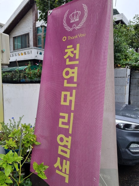 (오땡큐)천연 머리 염색 이미지