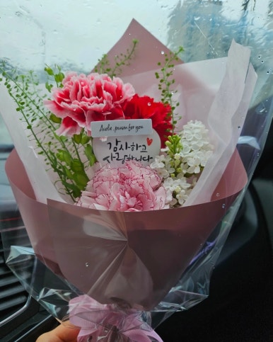 아이올라피움 이미지