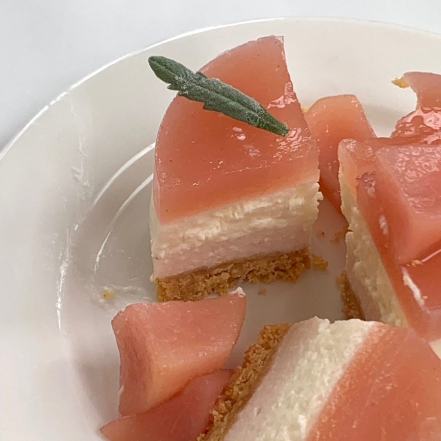 커스티(custty) 이미지