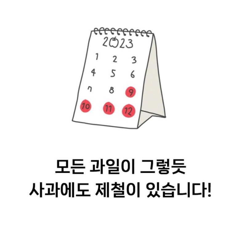 카인드쇼핑몰 이미지