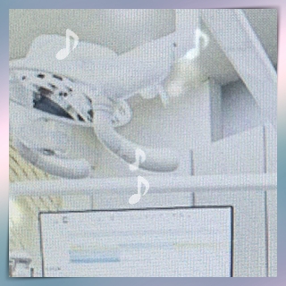석치과의원 이미지