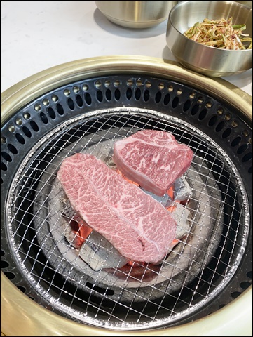 신도세기보라매 이미지