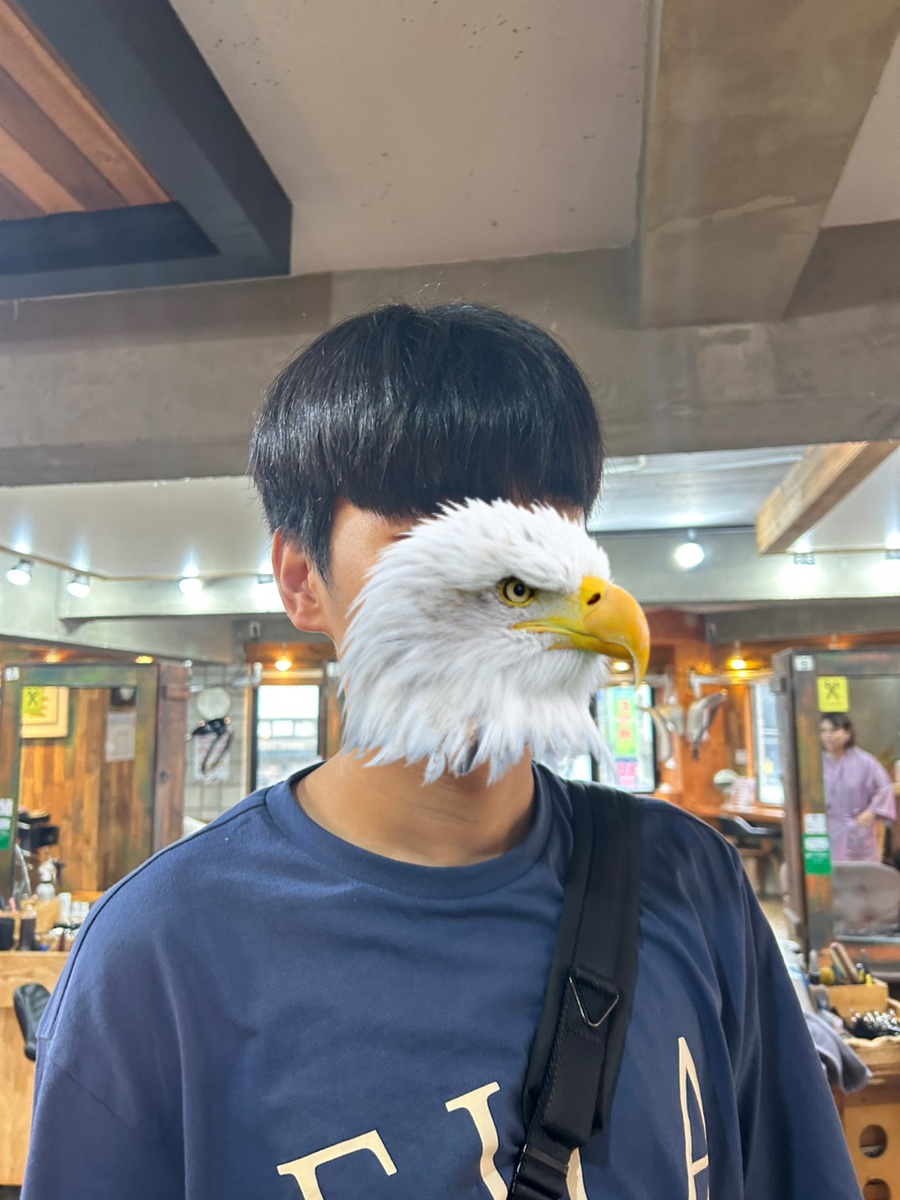 컷트매니아 이미지