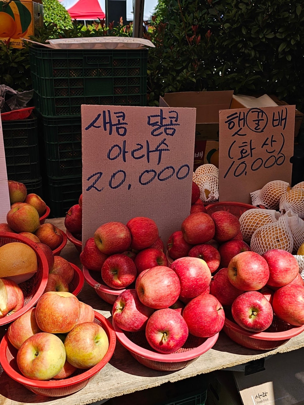 명륜진사갈비함안 이미지