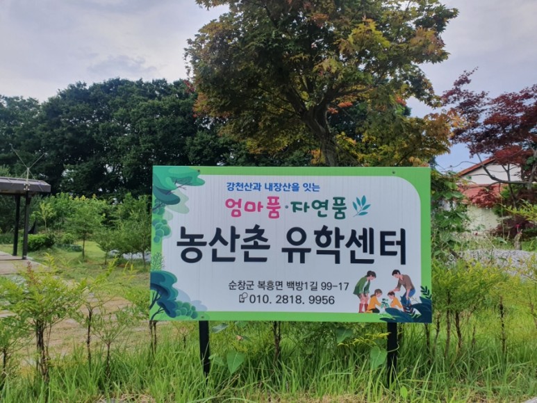 엄마품자연품농촌유학센터 이미지
