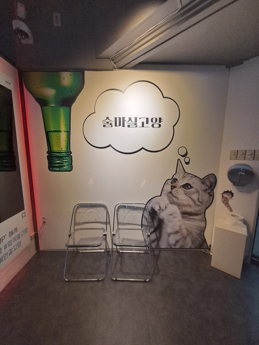 술마실고양 이미지