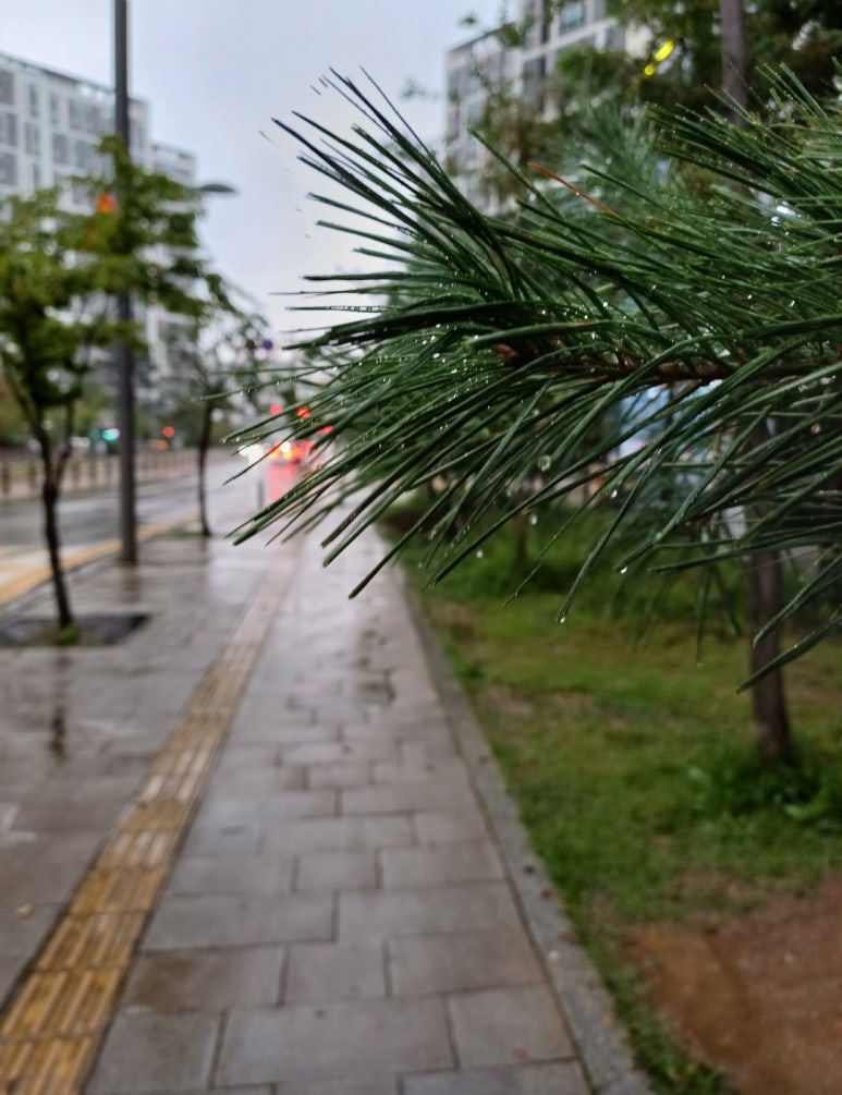 태전드림정형외과의원 이미지