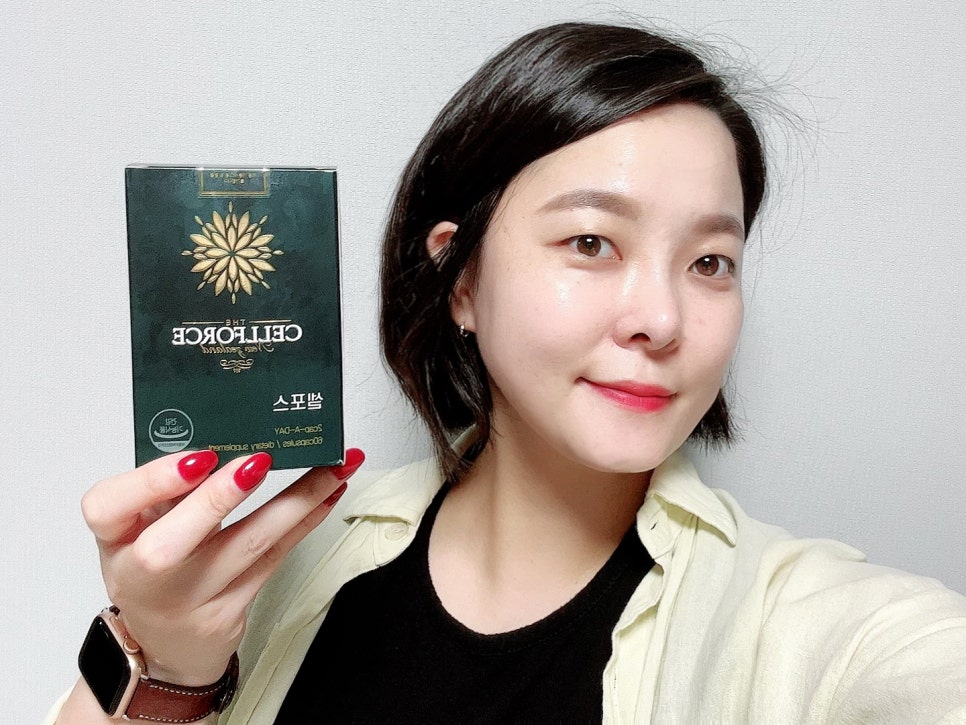 도도인터내셔널 이미지