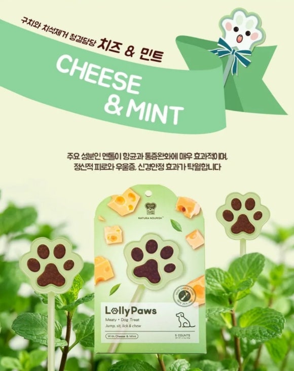 롤리안 이미지