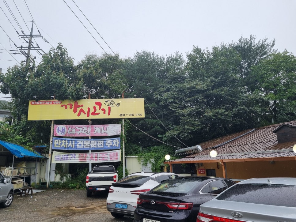 까시고기 이미지