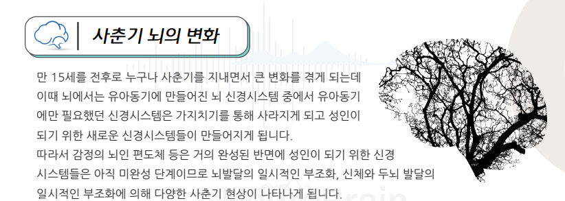 뇌과학꿈독서5분에책1권김해학원 이미지