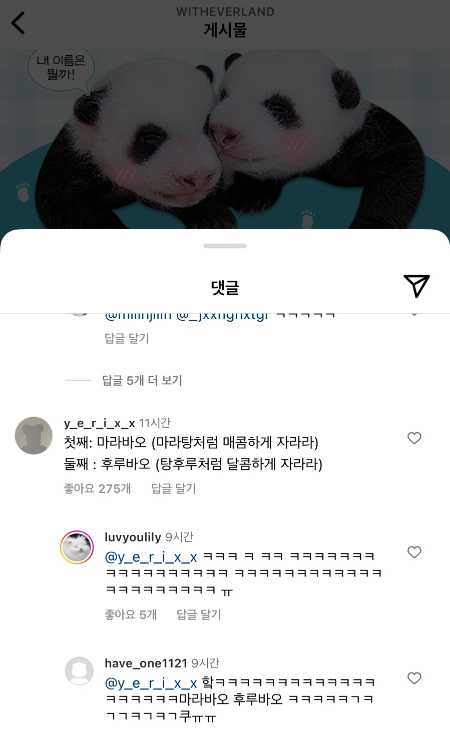 마라바오 이미지