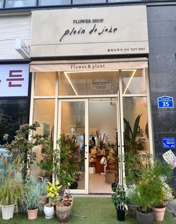 플랑드주아 이미지
