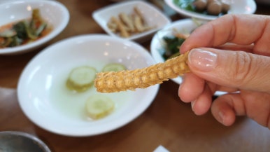 기통찬장어 이미지