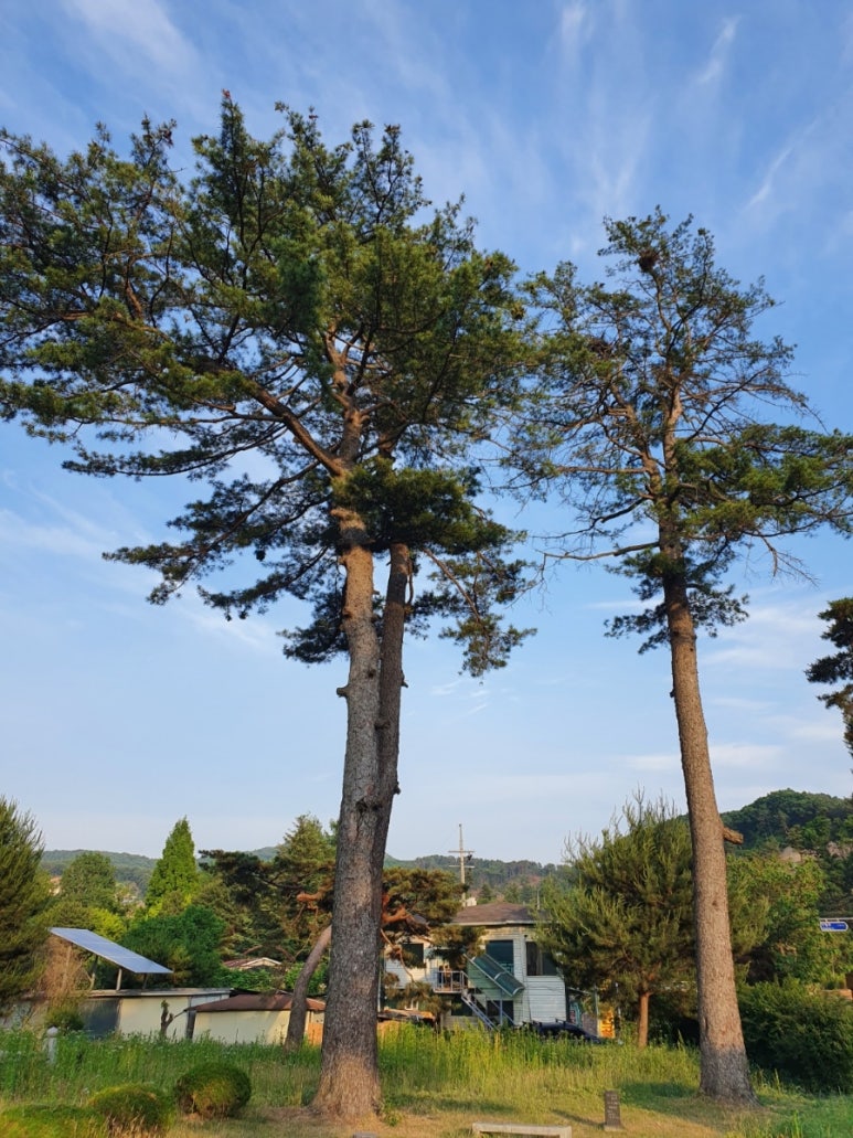 영남한우촌 이미지
