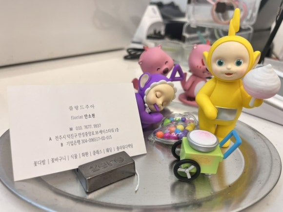 플랑드주아 이미지