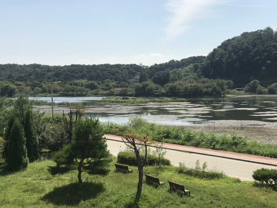 더 담다(The 담다) 이미지