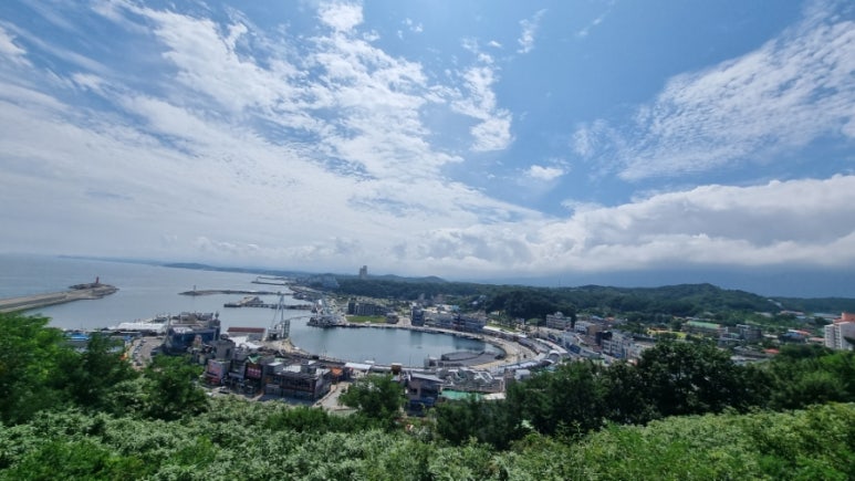 속초복다방 이미지