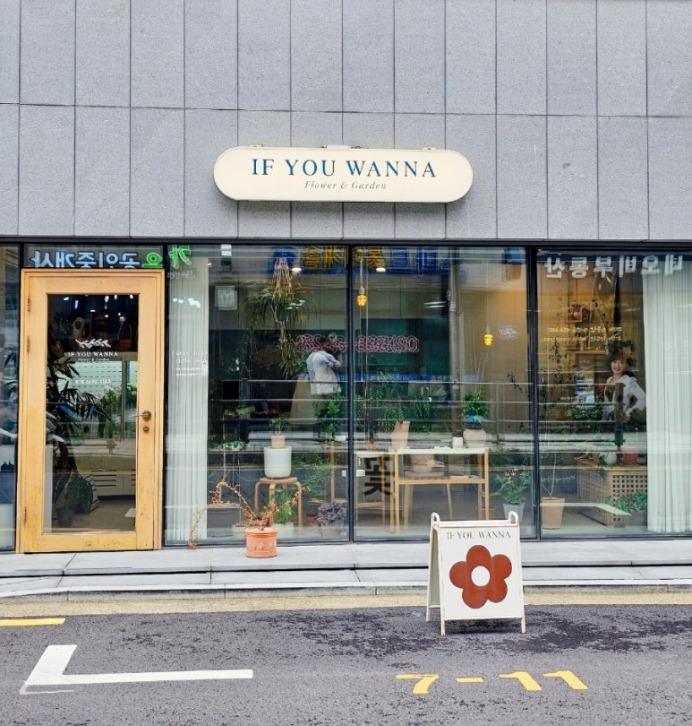 이프유워너플라워 이미지