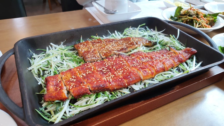 기통찬장어 이미지