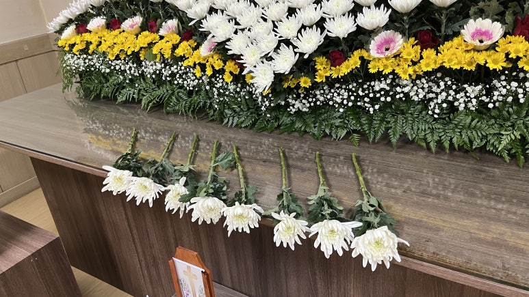 감동상조 이미지