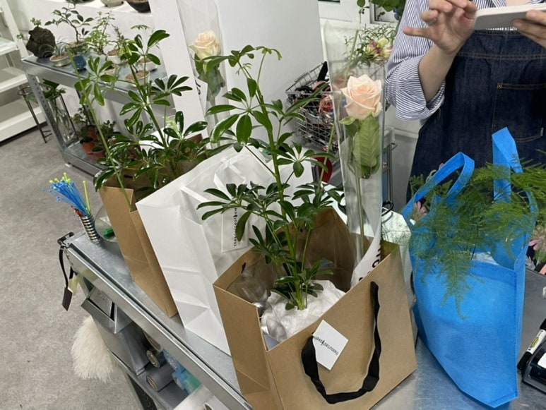 더서스오브파워 이미지
