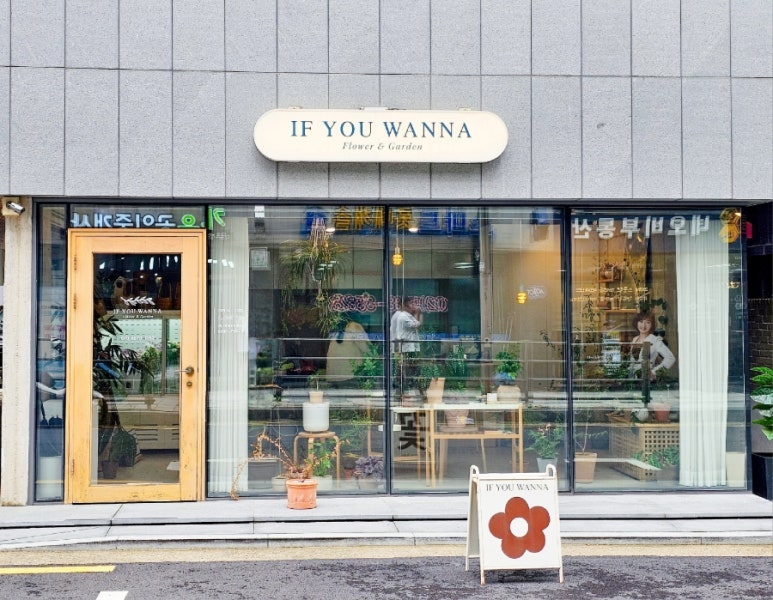 이프유워너플라워 이미지