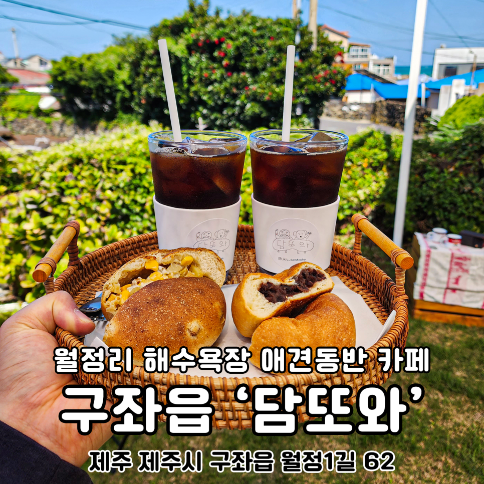 담또와 이미지