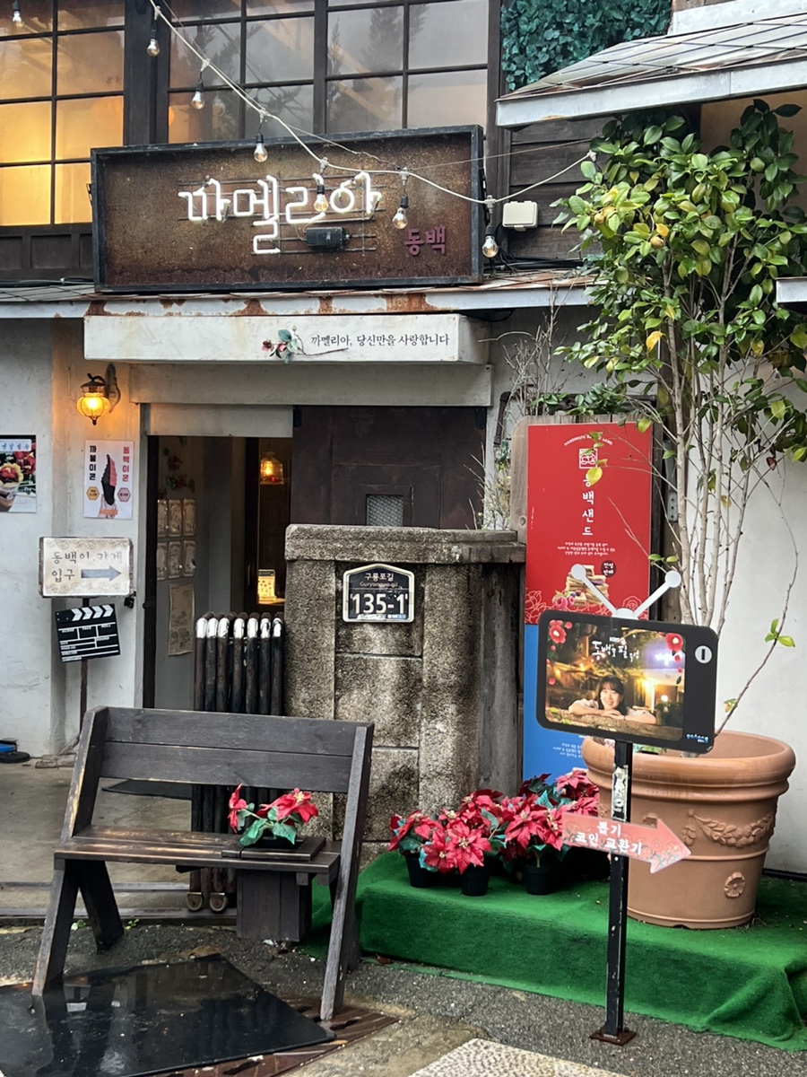 코끼리만두 이미지