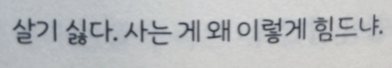 미라세탁소 이미지