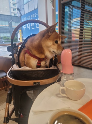 바로BAROH 이미지