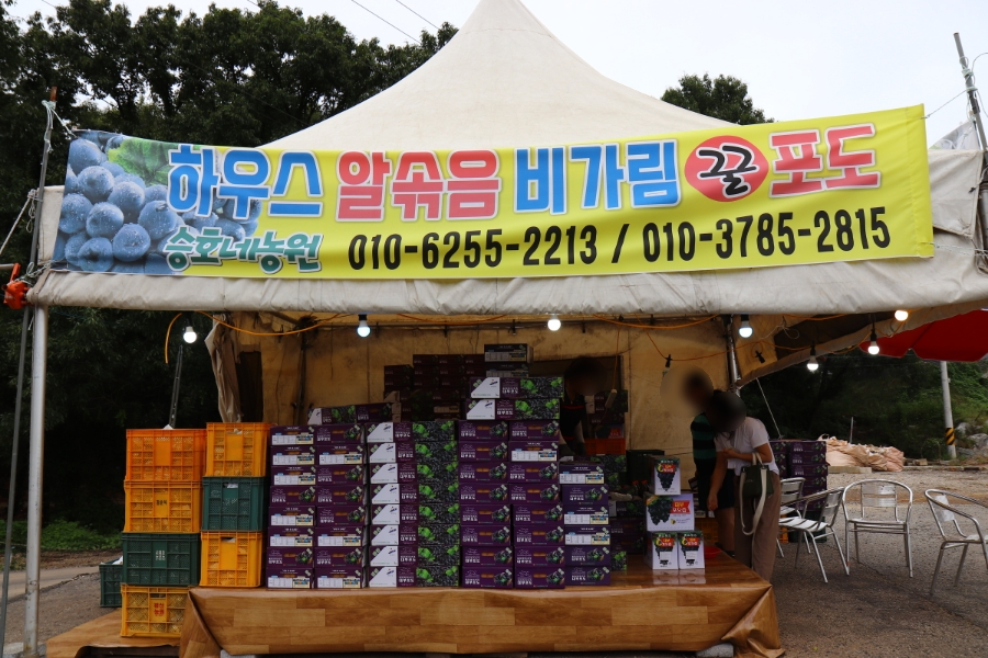 대부일심1급자동차 이미지