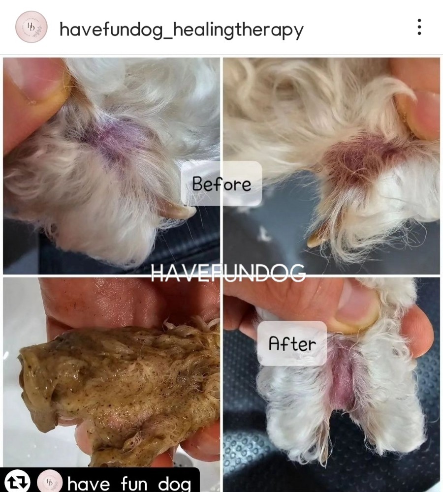 수소피부건강샵 이미지