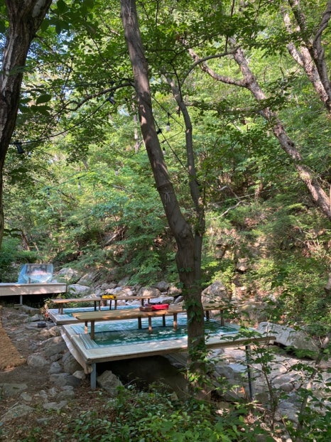메아리식당 이미지
