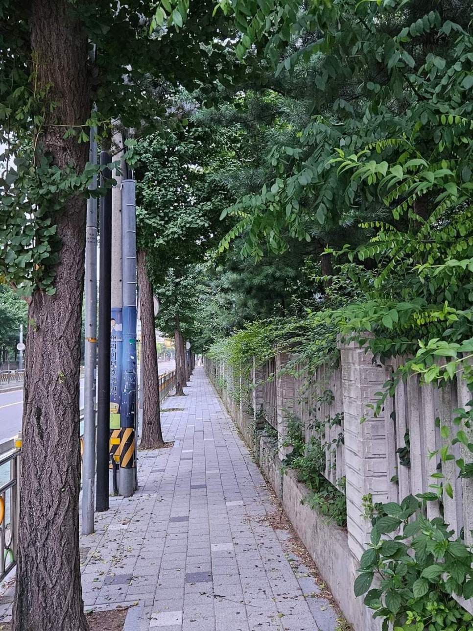 명성행정사사무소 이미지
