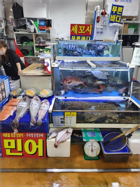 푸른바다수산 이미지