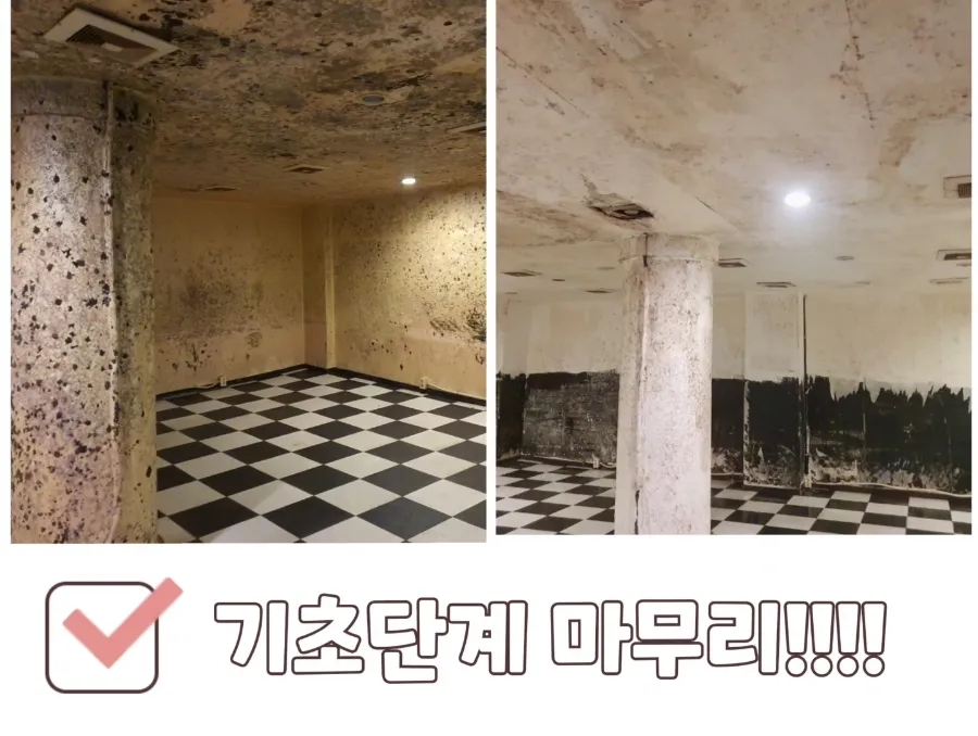 개미클린 이미지