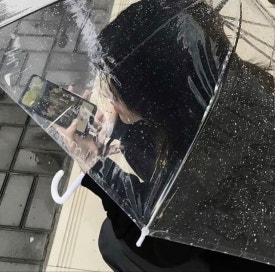 잠비 이미지