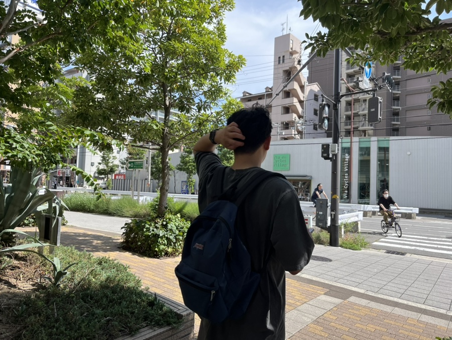 겔빠 이미지
