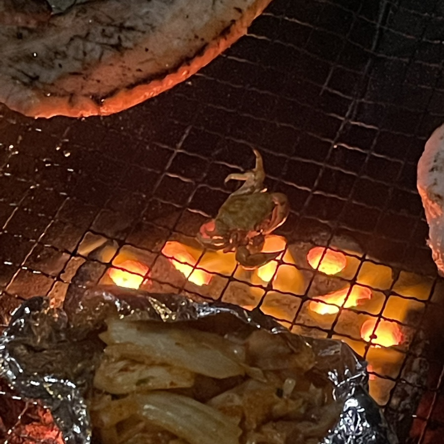 꽃게사냥 이미지