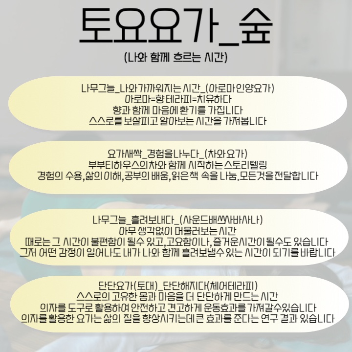 토요요 이미지