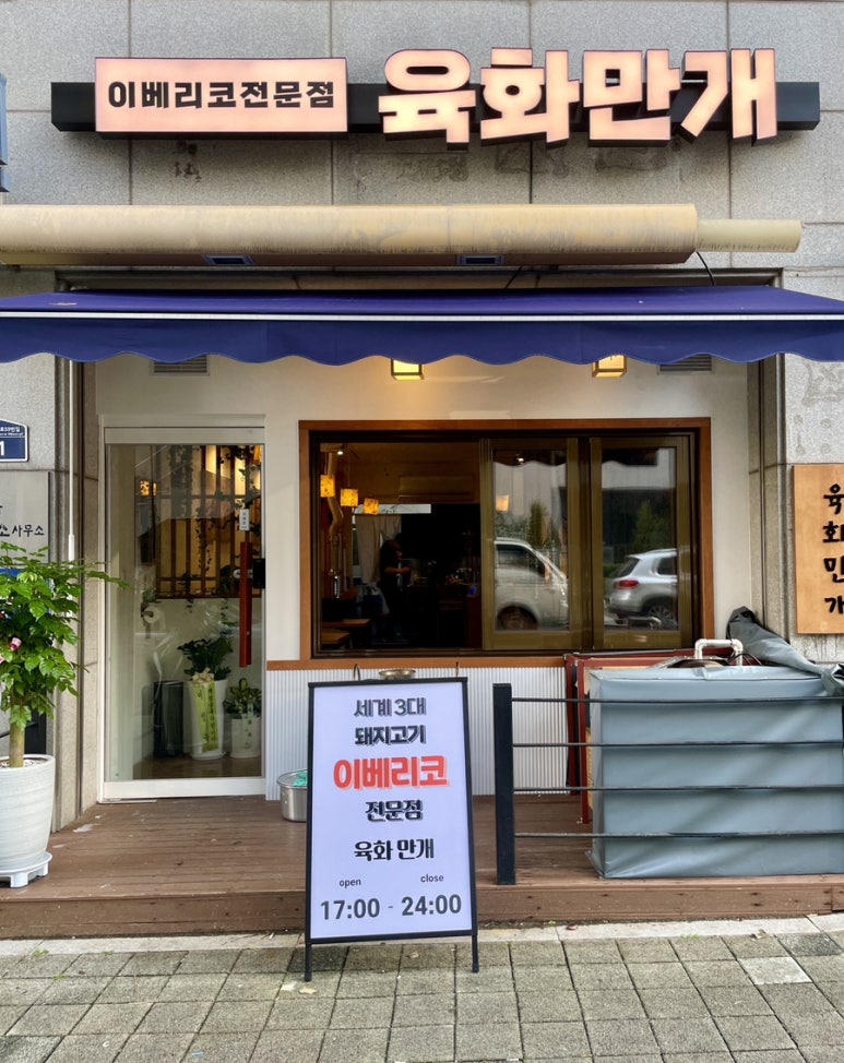 육화만개 이미지